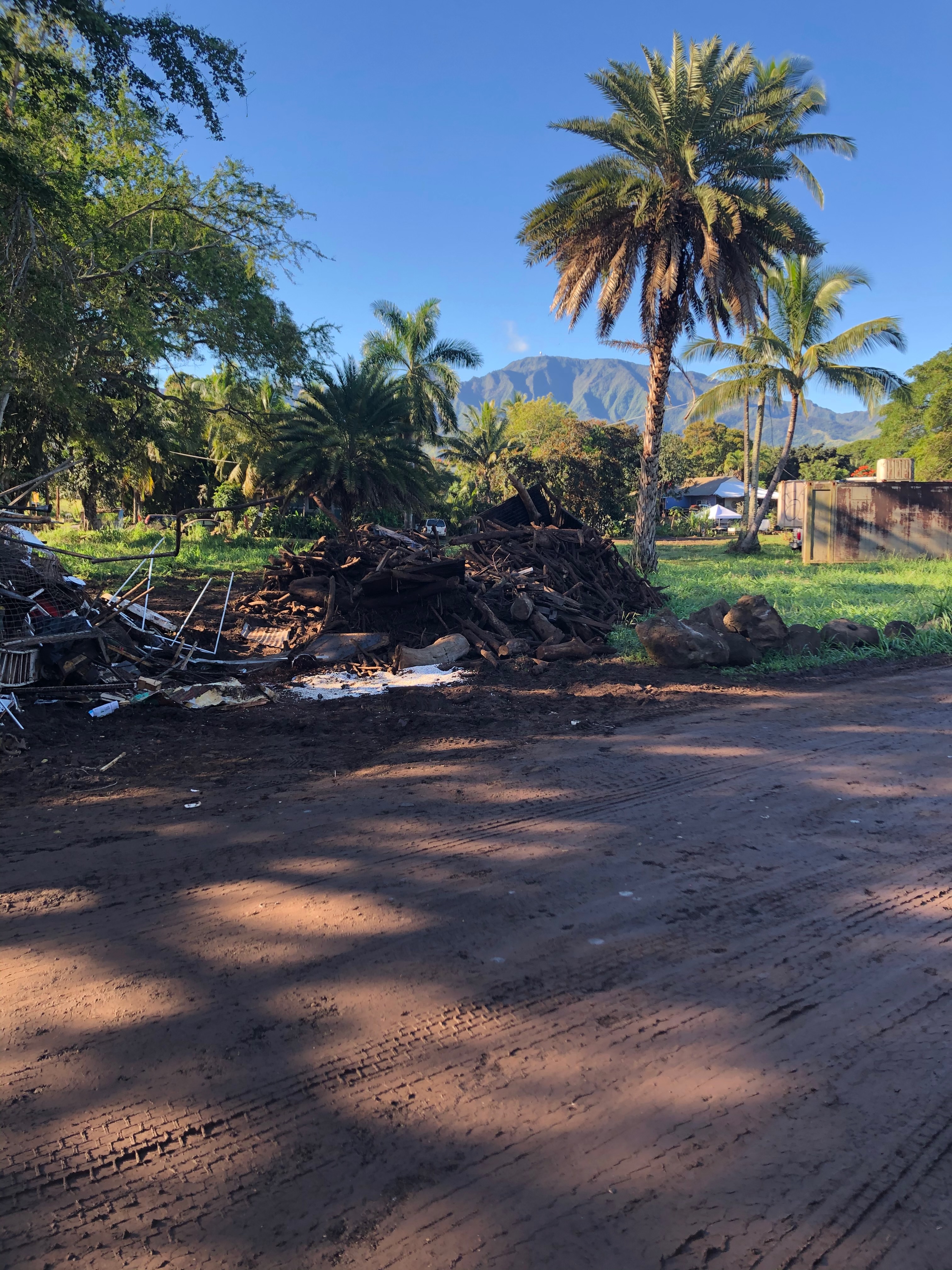 Professional Disposal