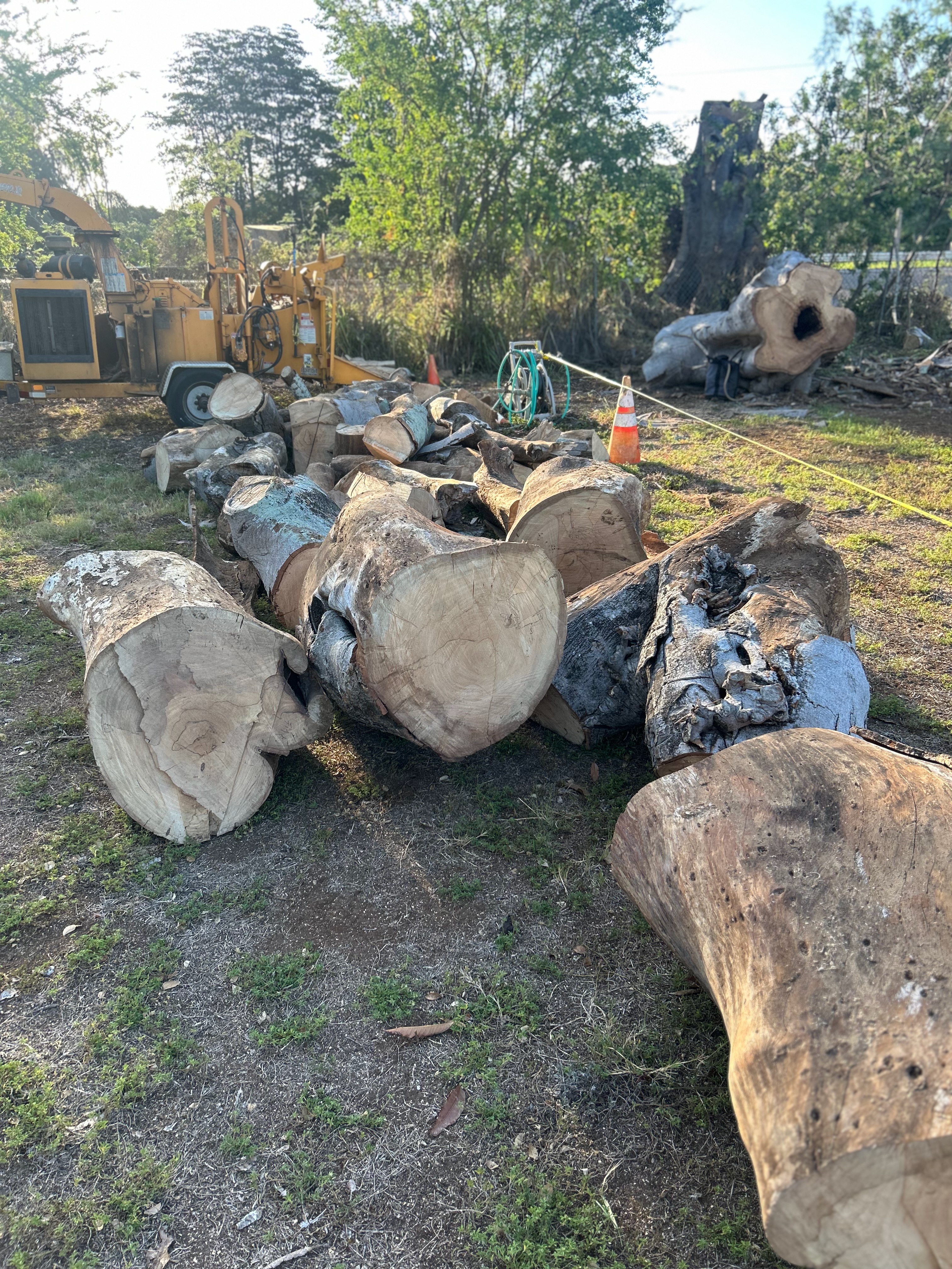 Land Clearing Portfolio